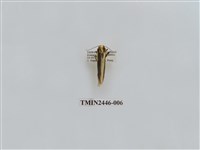 藏品(雙帶長苔蛾)的圖片